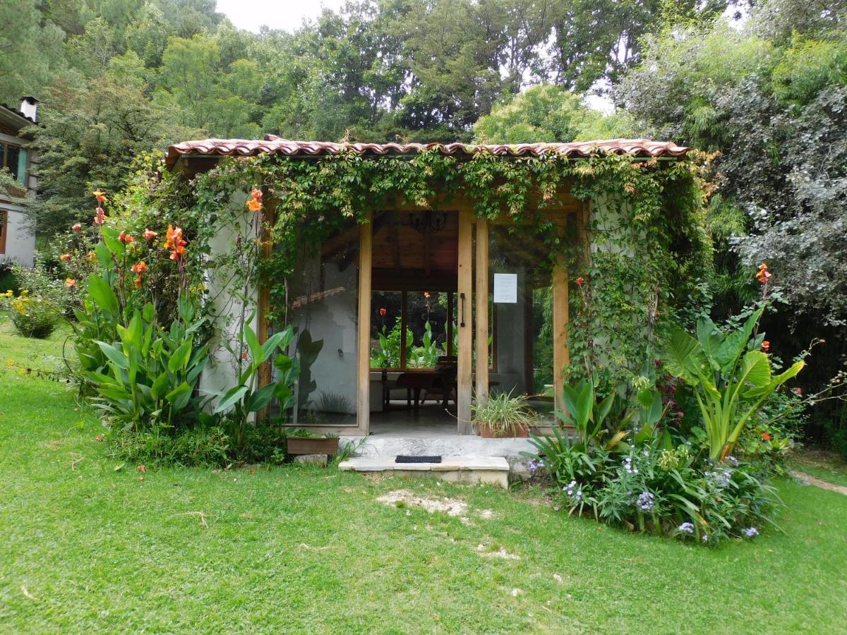 San Nicolas By Rotamundos San Cristóbal de Las Casas Exteriör bild